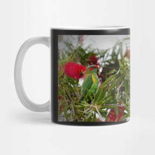 Musk Lorikeet and Bottle brush Mug